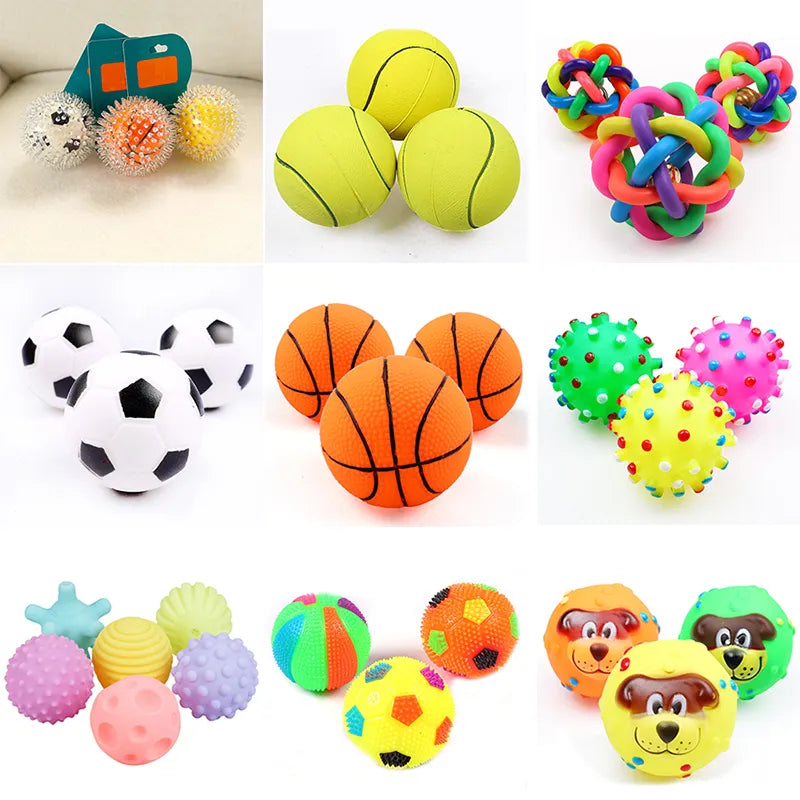 Squeaky Dog Toy