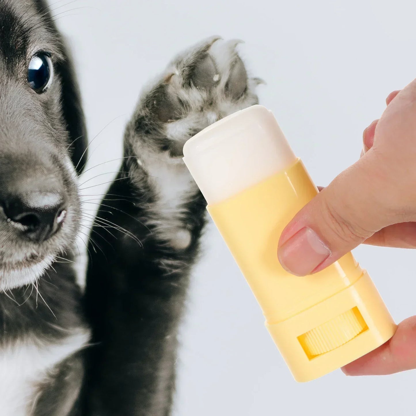 Calming Paw Balm Cats & Dogs
